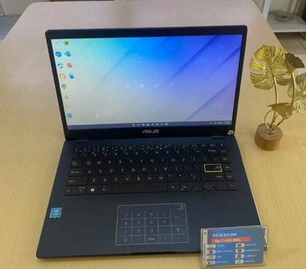 Asus E410M